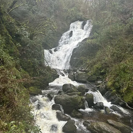 - Tigin Mamo By Trident Homes Glenbeigh